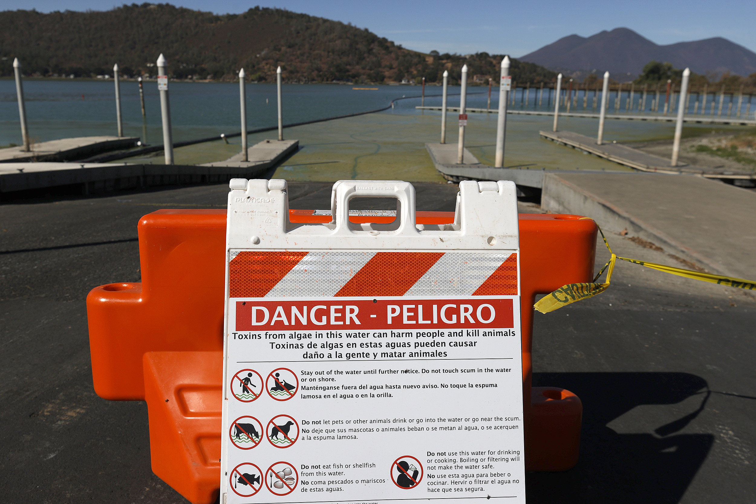 Cyanotoxin Outbreak Due To Dry, Hot Summer Threatens Water Supply In Clear Lake, California