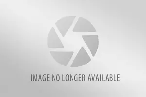 Porn Star Gets A Not-Love Bite From Shark